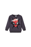 Name It Erkek Çocuk Sweatshirt 13221195