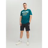 Jack Jones Tshark Sweat Shorts At Pls Erkek Siyah Şort 12229945-02