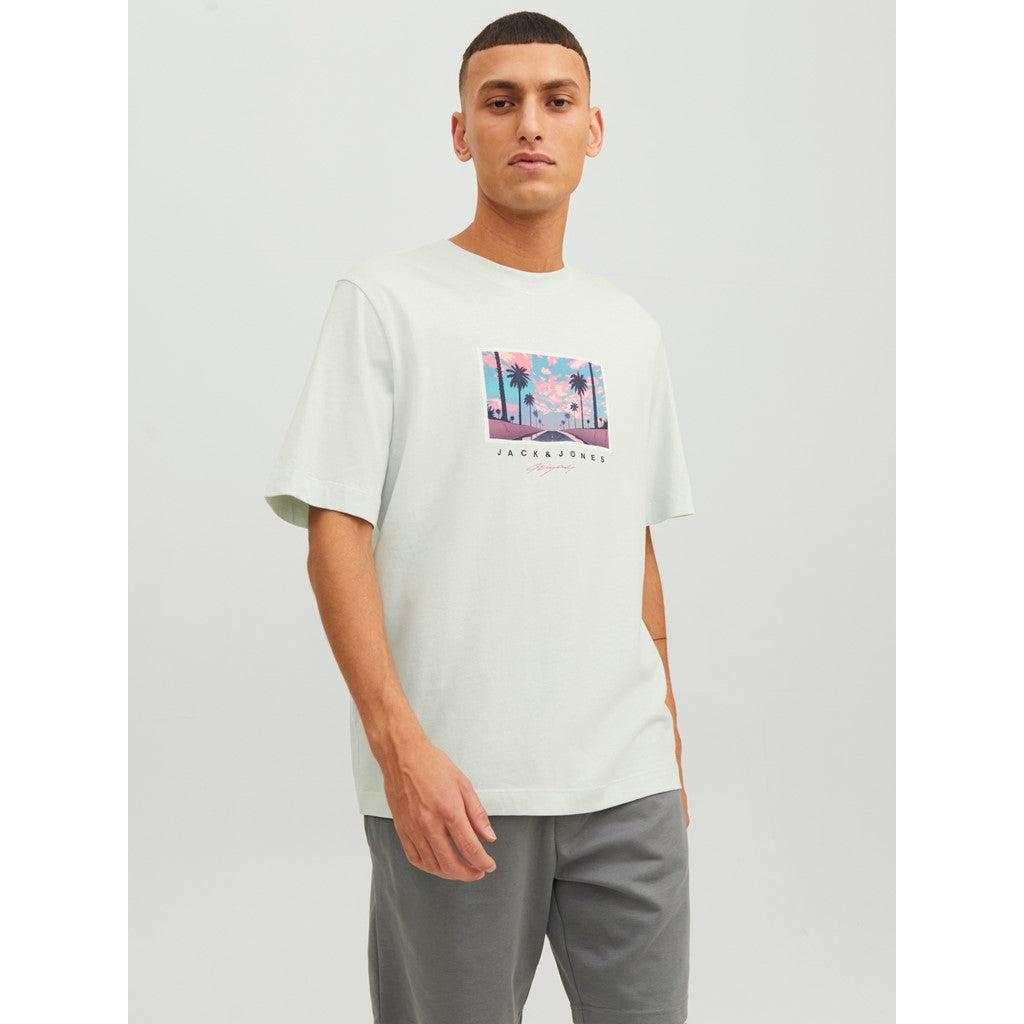 Jack&Jones Erkek T-Shirt 12235226