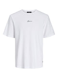 Jack&Jones Erkek T-Shirt 12175825