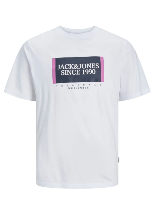 Jack&Jones Erkek T-Shirt 12252681